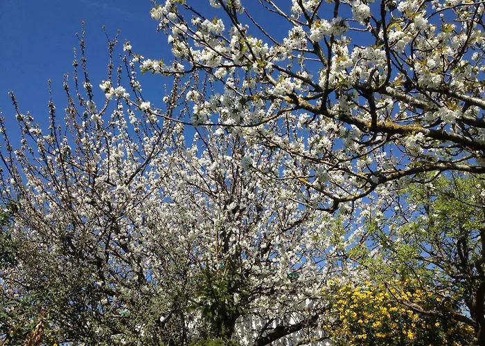 La Petite Maison De Holiday home
